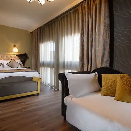 Palazzo Veneziano - Collection