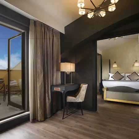 Palazzo Veneziano - Collection