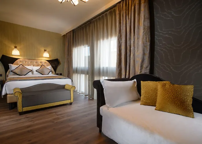 Palazzo Veneziano - Collection