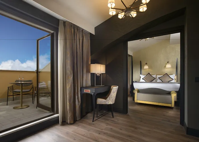 Palazzo Veneziano - Collection